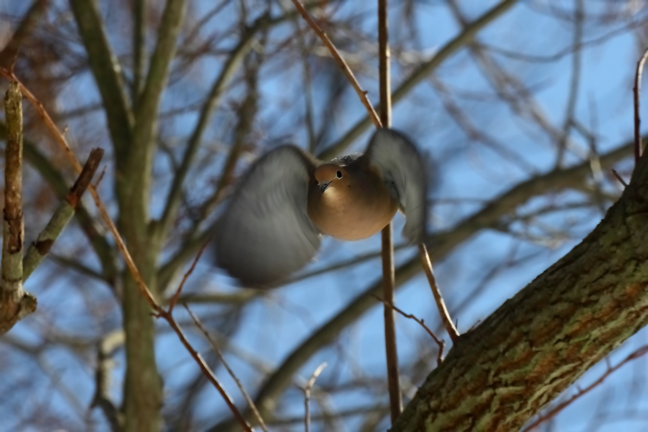 2015 02 24 HTP 000028680e